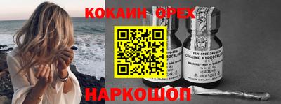 гидра Будённовск