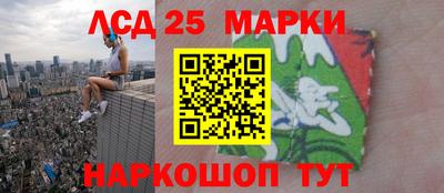гидра Будённовск