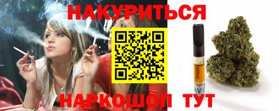 гидра Будённовск