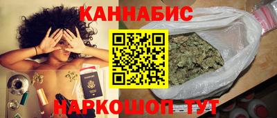 гидра Будённовск