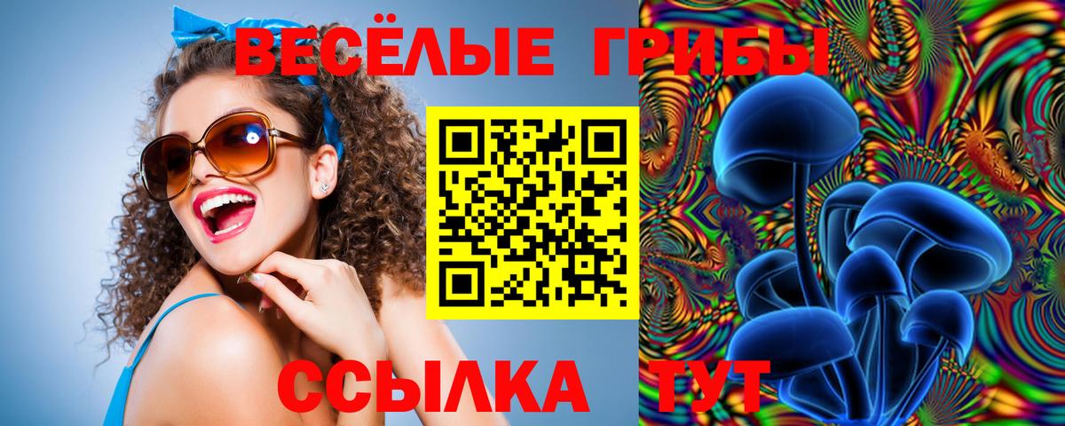 Псилоцибиновые грибы ЛСД  Вход с VPN  Копейск 